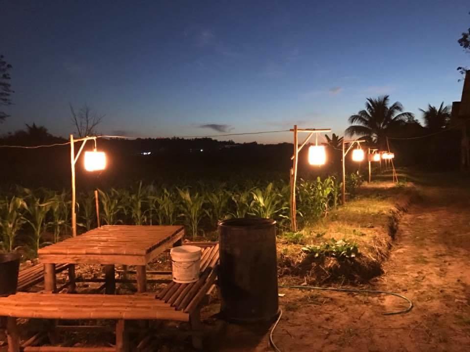 Ton Lang Homestay Пуа Екстериор снимка